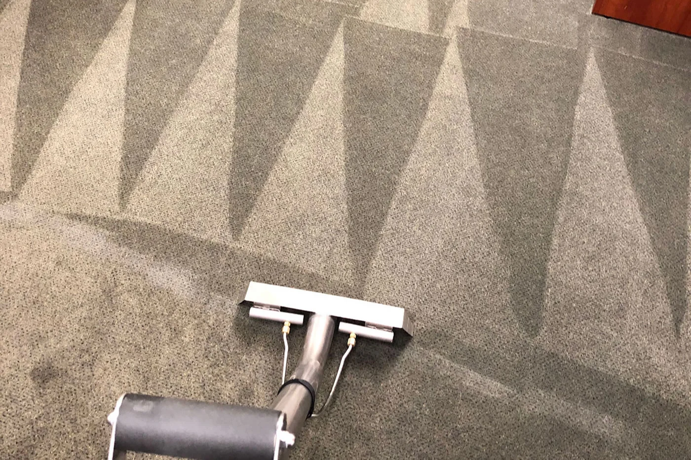 Carpet extraction wand on beige carpeting.